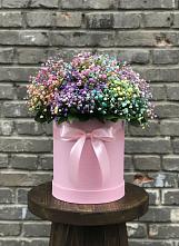 Цветочная композиция из Гипсофила и Розы в шляпной коробке #REPLACE_PRED# Сальске
