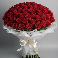 Букет 101 Красная роза Блэк Мэджик в Сальске