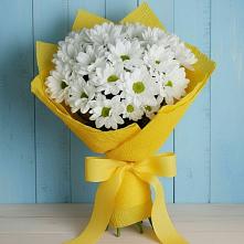 Букет цветов из:  Хризантемы в Сальске