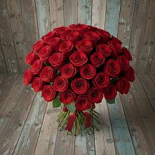 Букет 55 Красных роз Фридом #REPLACE_PRED# Сальске