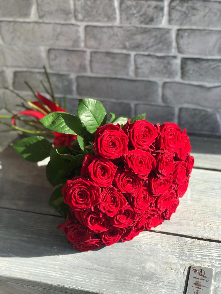 Букет Красные розы Фридом в Сальске