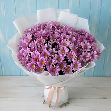 Букет цветов из:  Хризантемы в Сальске