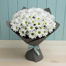 Букет цветов из:  Хризантемы #REPLACE_PRED# Сальске