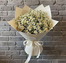 Букет цветов из:  Ромашки в Сальске