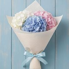Букет цветов из:  Гортензия в Сальске
