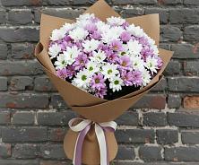 Букет цветов из:  Хризантемы в Сальске