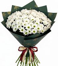 Букет цветов из:  Хризантемы в Сальске