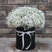 Цветочная композиция из Гипсофила в шляпной коробке в Сальске