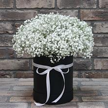 Цветочная композиция из Гипсофила в шляпной коробке в Сальске