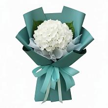 Букет цветов из:  Гортензия в Сальске